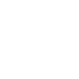 Autonomia